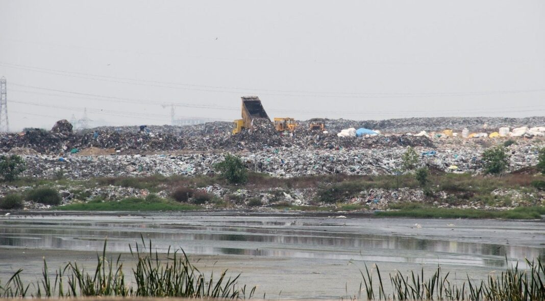 Chennai Plans Dumpyard Mapping Inside Pallikaranai Wetland