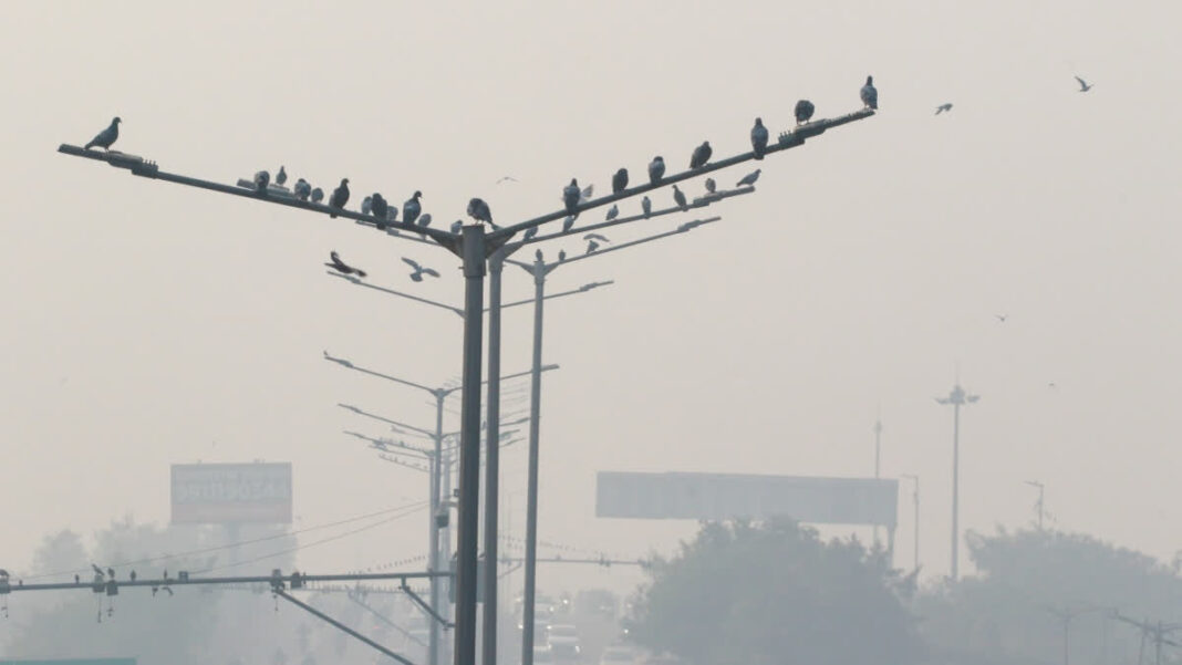 NCR Businesses Face Smog Season Losses