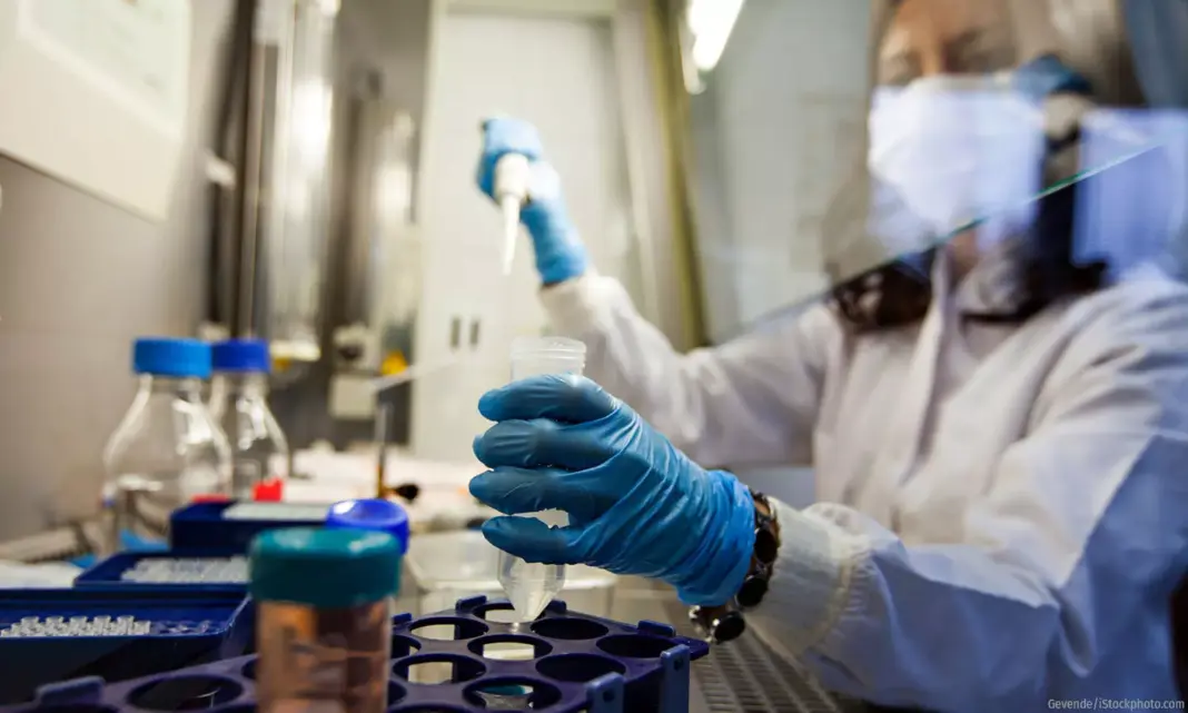 Delhi Surveillance Flags Dip In Vector Diseases