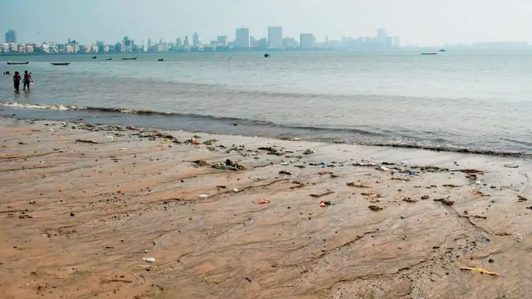 Mumbai Coast Platform Maps Pollution Beyond City Shores