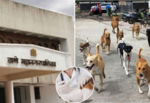 TMC Initiates Rabies Control Campaign For Strays