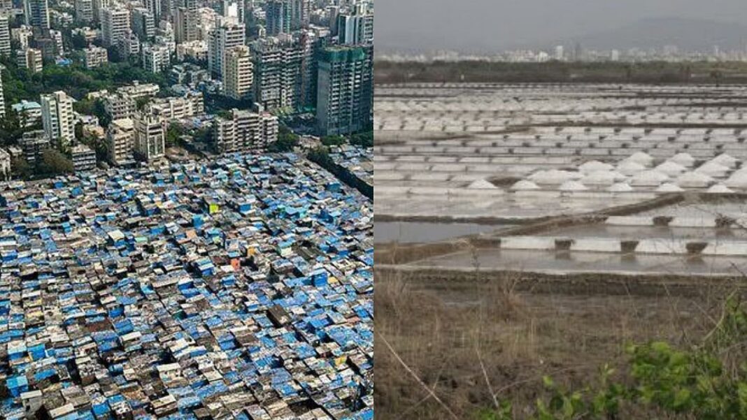 Mumbai HC Upholds Dharavi Salt Pan Allotment