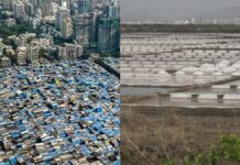 Mumbai HC Upholds Dharavi Salt Pan Allotment