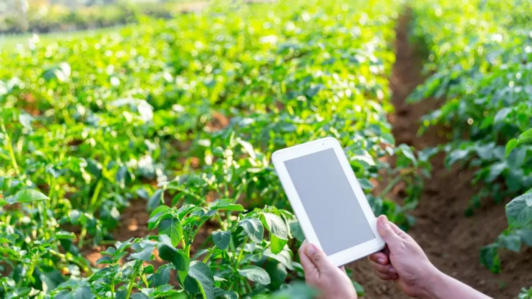 Maharashtra Launches Large Scale Afforestation Drive