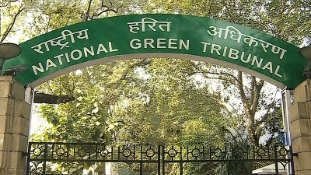 Mumbai NGT Seeks Tree Survival Data From MCGM