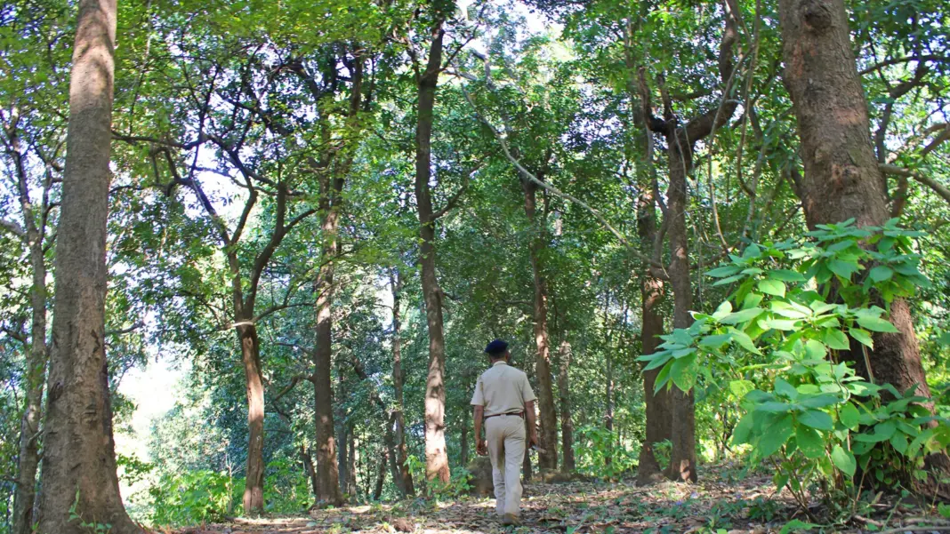 Maharashtra Forest Employees Form New Body For Job Security