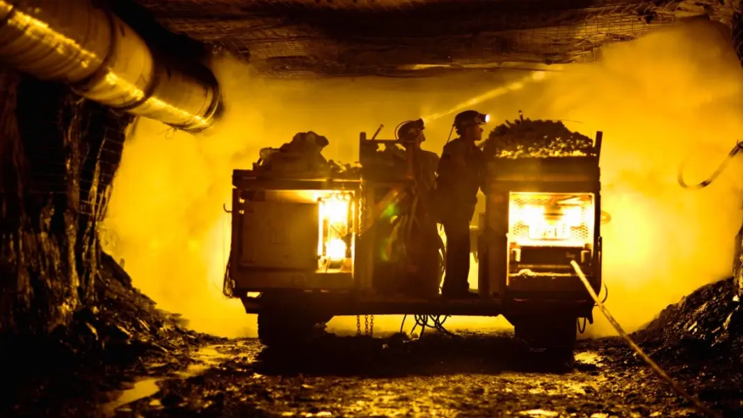 Ancient Ecosystem Uncovered In Jharkhand Coal Mine