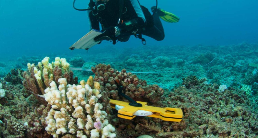 NIOT to build deep sea marine microbe repository