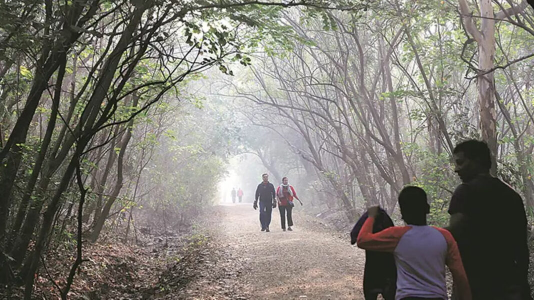 Pune Experiences Early Winter End As Temperatures Rise
