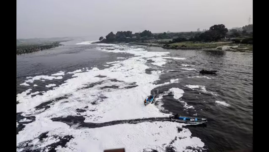 Delhi Plans Yamuna Floodplain Ecological Restoration