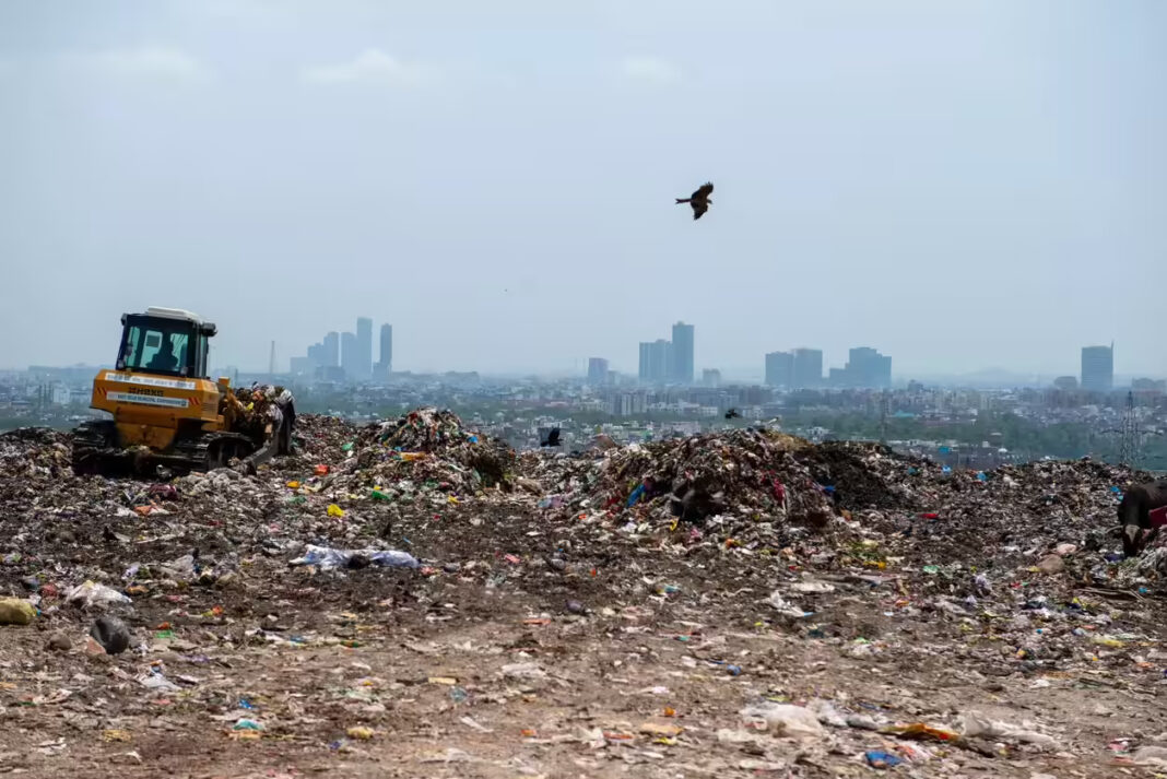 Delhi Civic Body Plans New Waste Management Contracts