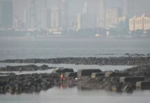 Thane Faces Summer Water Shortage Mumbai Asked For Support