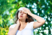 Bengaluru Faces Early Summer Heat As Temperatures Rise