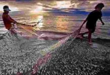 Matsya Shakthi Boosts Minority Livelihoods Kerala