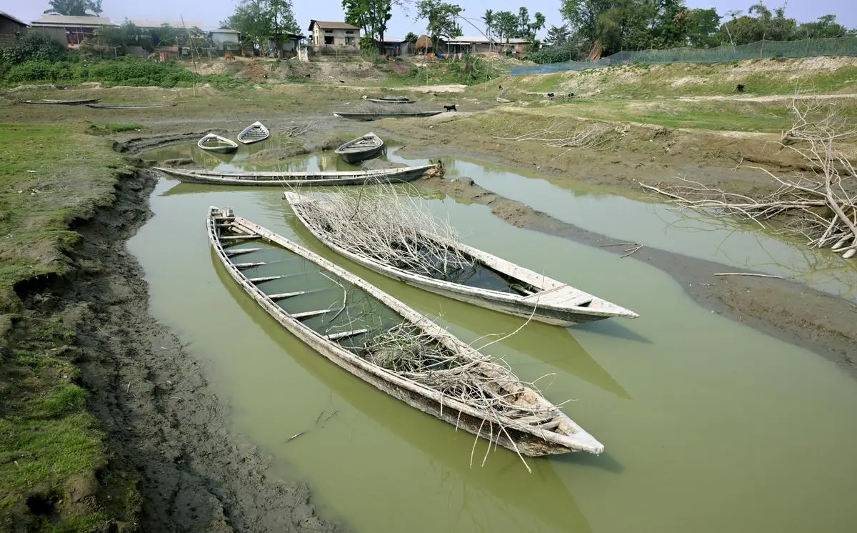 Delhi Water Bodies Decline Raises Planning Concerns