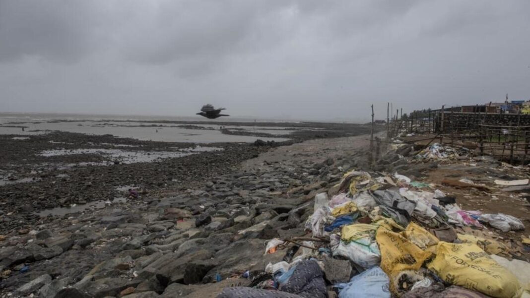Mumbai BMC Sanctions Long-Term Cleaning Project for Chimbai Beach