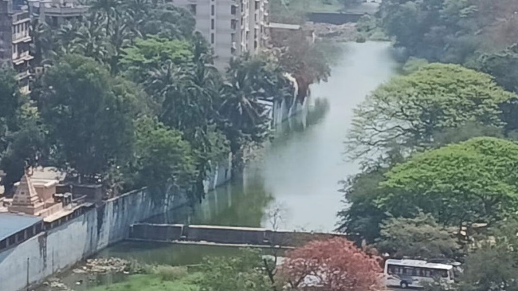 Mumbai Citizens Renew Push For River Rejuvenation