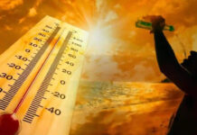 Telangana Heat Alert Raises Urban Climate Concerns