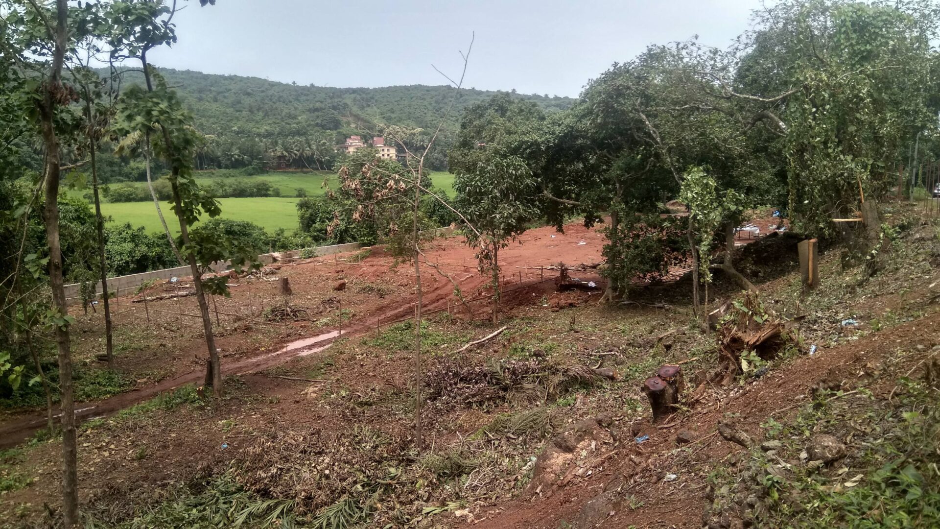 Goa Land Crisis Intensifies Pressure On Urban Planning