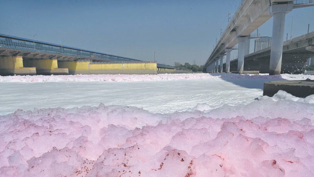 Delhi Yamuna Pollution Raises Alarm Over Pink Foam
