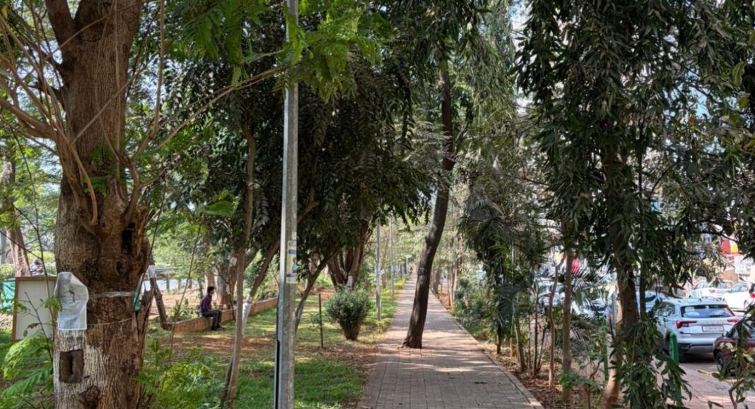 Navi Mumbai Residents Mobilise To Protect Urban Trees