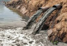 Rajasthan Jojari River Pollution Case Highlights Industrial Impact