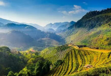 Navi Mumbai Hills Activists Demand Forest Protection