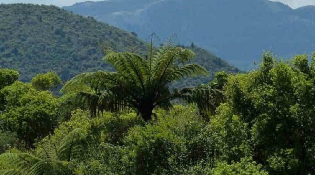 Gujarat Wildlife Board Representation Expands Nationally