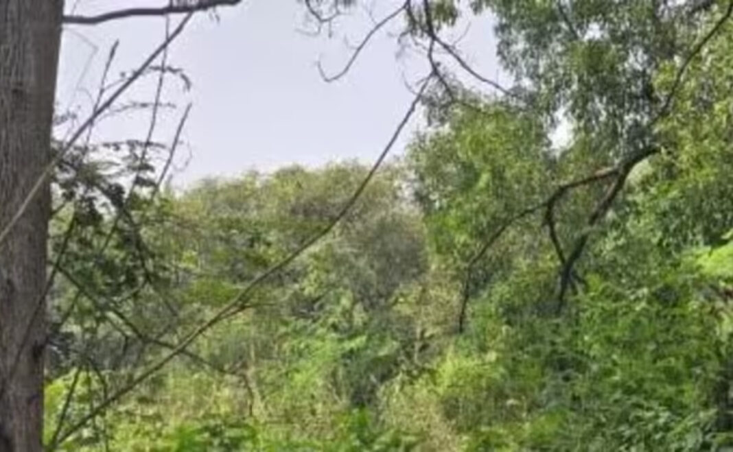 Thane Reintroduces Heat Action Plan As Urban Heat Risks Grow