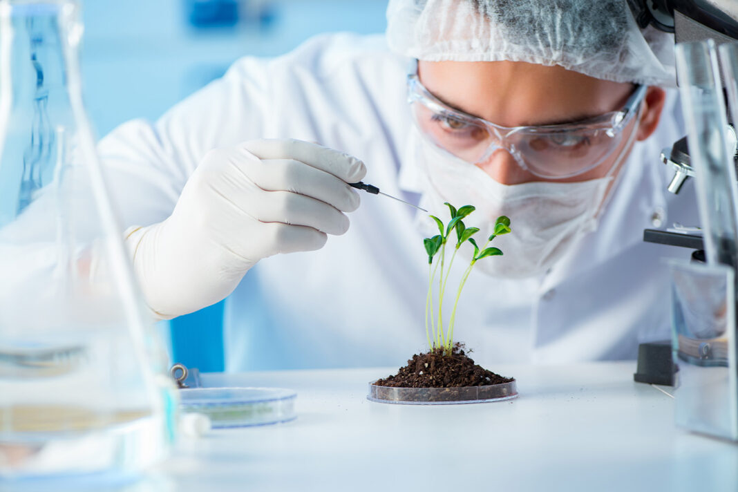 Surat Biotech Funding Signals Growth In Innovation Ecosystem