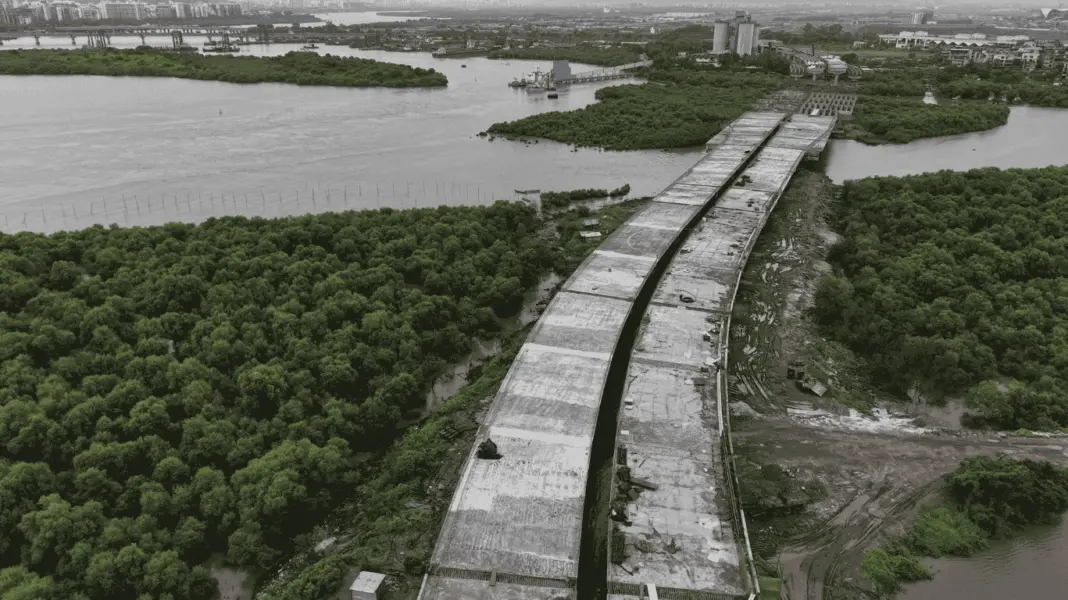 Mumbai Citizens Mobilise to Highlight Mangrove Risk Along Coastal Corridor