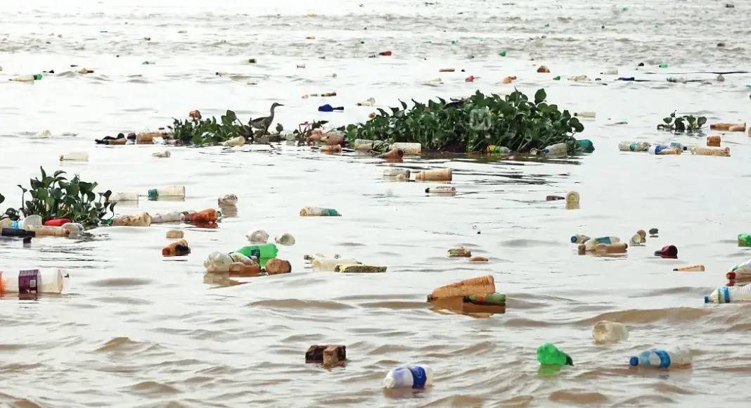 Kerala NGT orders Kadambrayar pollution penalty