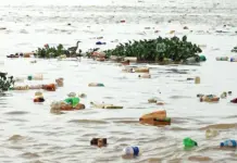 Kerala NGT orders Kadambrayar pollution penalty