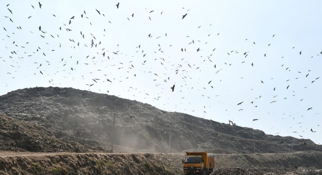 Delhi Ordered To Submit Ghazipur Landfill Clearance Plan