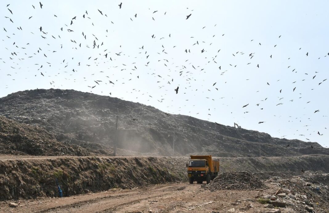 Delhi Ordered To Submit Ghazipur Landfill Clearance Plan