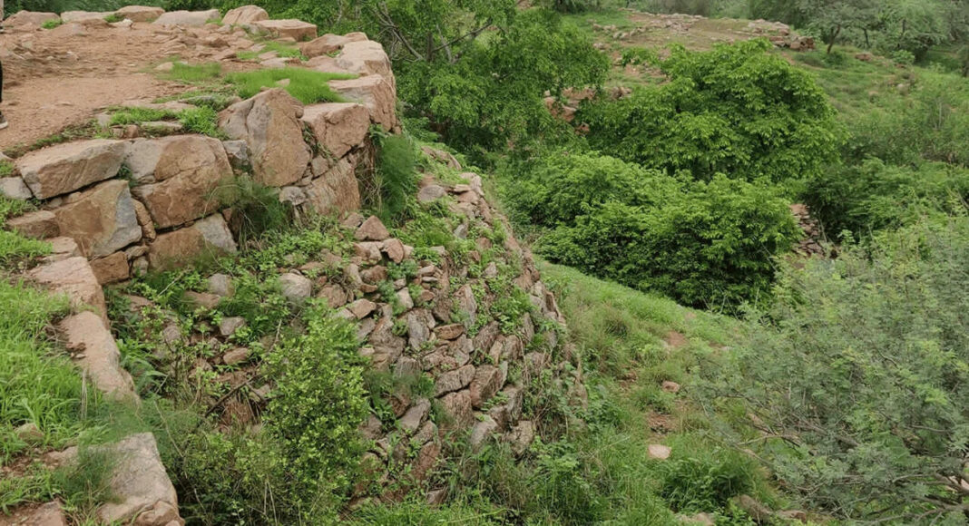 Delhi Sanjay Van Heritage Walk Promotes Urban Ecology