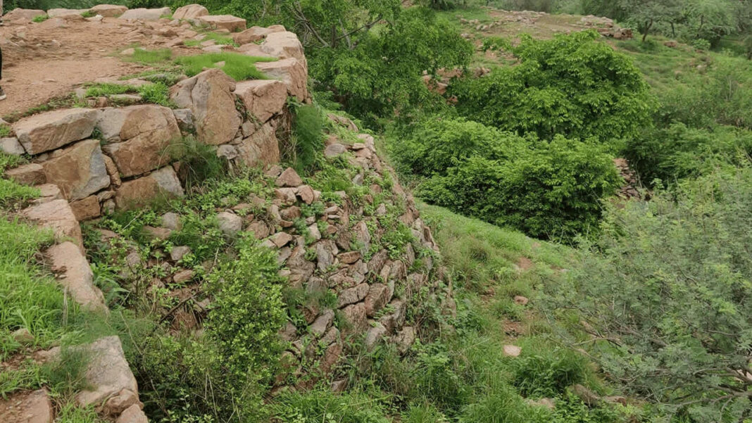 Delhi Sanjay Van Heritage Walk Promotes Urban Ecology