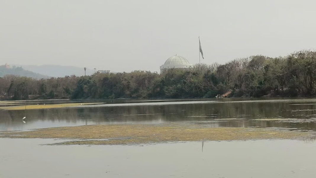 Flamingo Absence Signals Stress In Navi Mumbai Wetlands