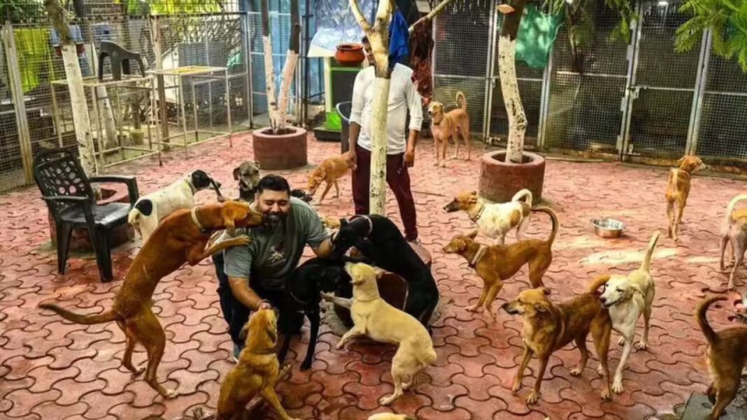 Delhi Integrates Air And Animal Welfare Systems