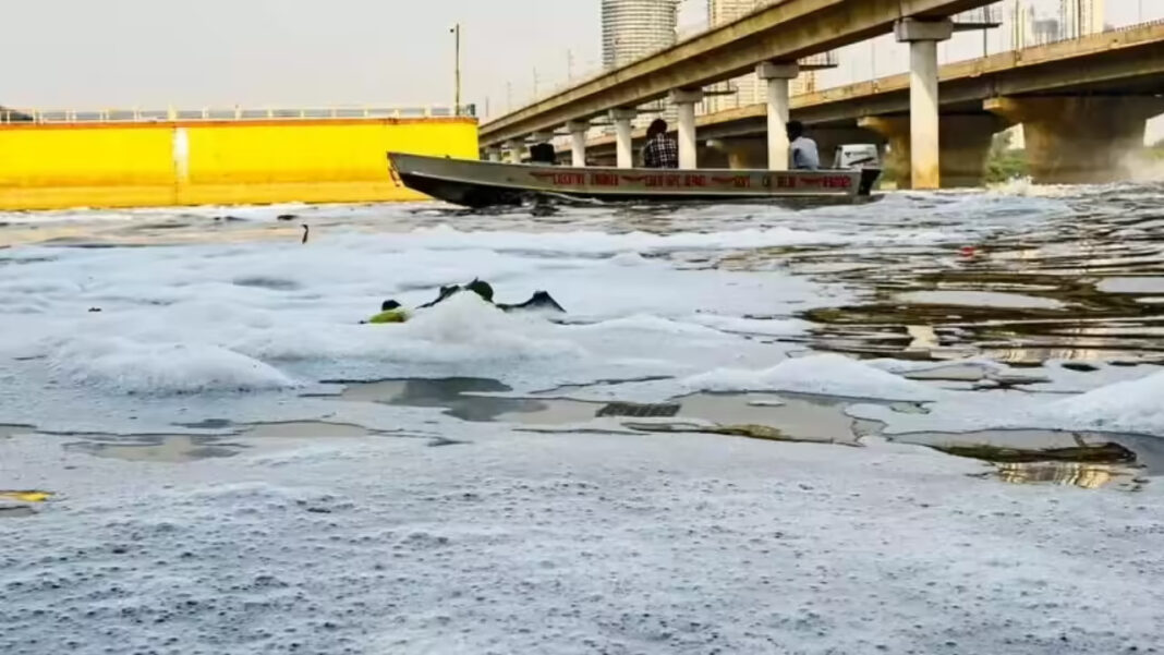 Delhi Yamuna Water Pollution Levels Rise In March