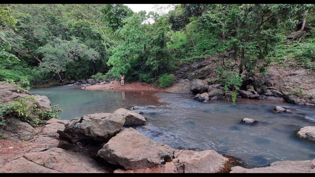 Thane Pushes Water Bodies Restoration Before Monsoon