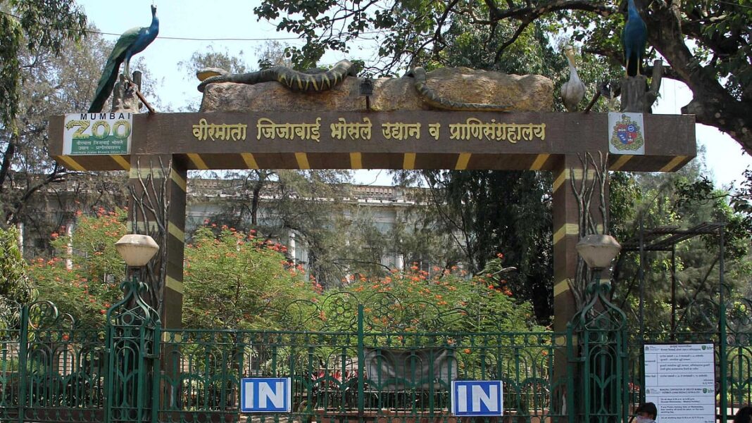 BMC Clears ₹61.77 Lakh Meat Supply Deal For Byculla Zoo