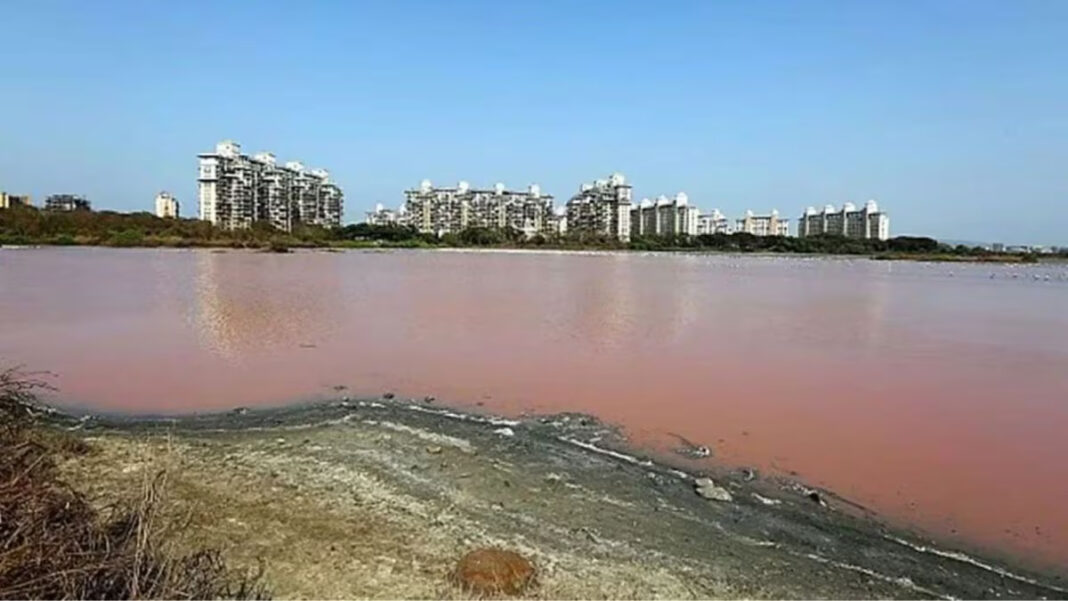 Mumbai Water Cuts Risk Rises Before Monsoon Arrival