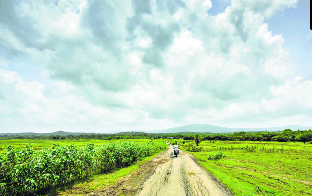 Over 72000 Trees And Water Bodies To Be Cleared For Palghar Port Highway