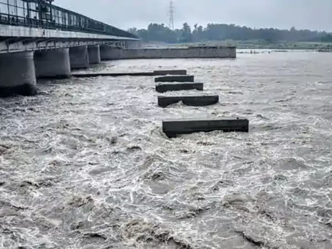 Gurugram Waste Pollution Burden Rising In Yamuna
