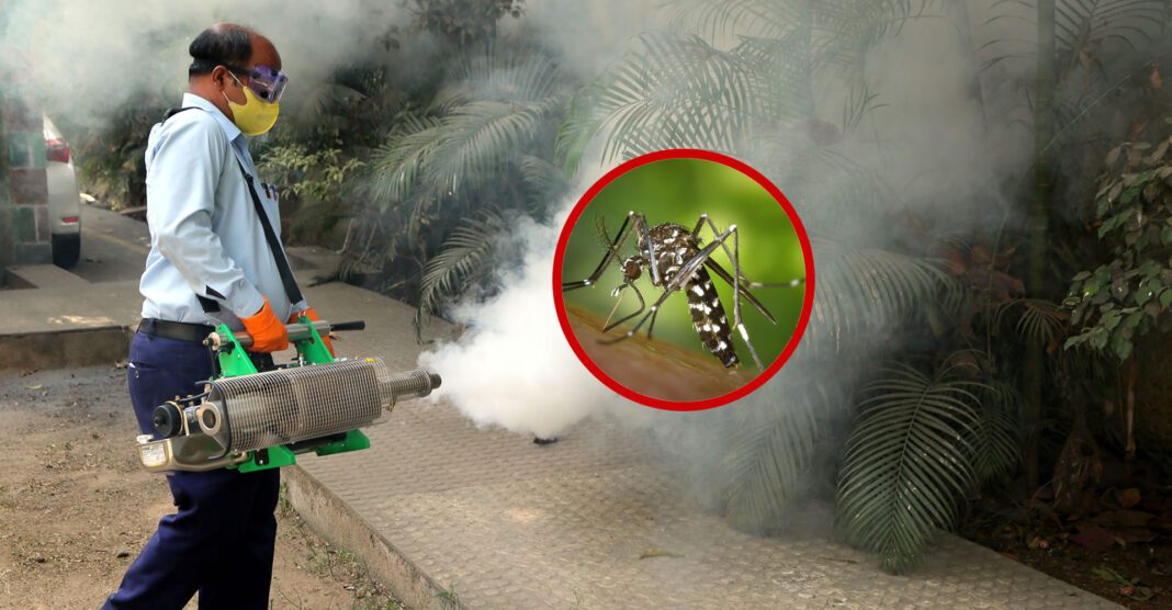 Mumbai Deploys Mosquito Control Device For Disease Prevention