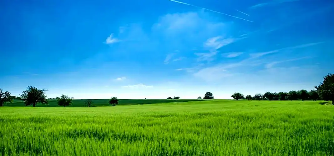 Karjat Land Deals Signal Mumbai Expansion Shift