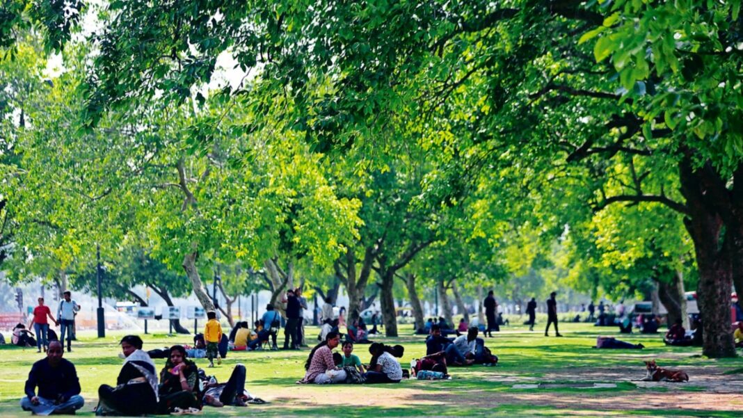 Delhi Green Action Plan Targets Seven Million Trees
