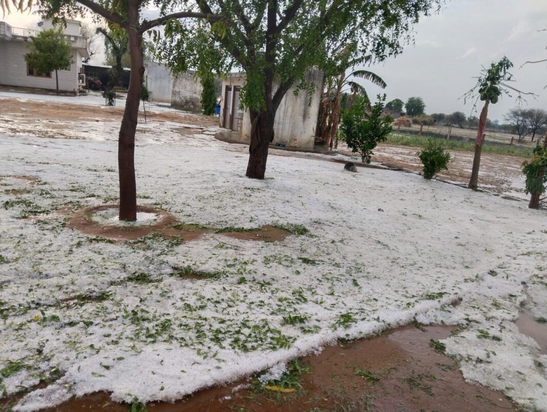 Rajasthan Weather Alert As Hailstorm Warning Issued