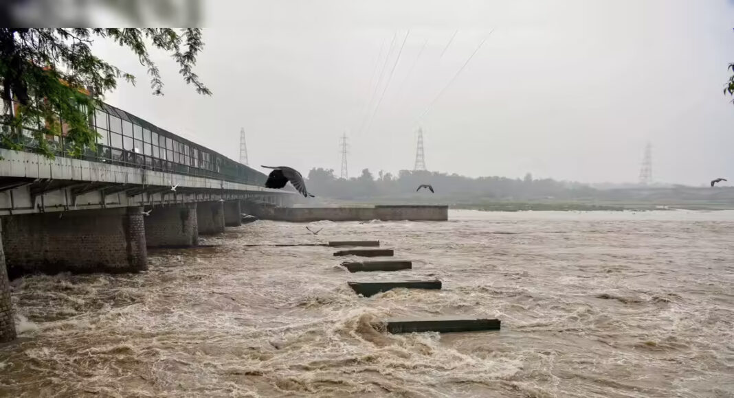 Delhi Yamuna Pollution Surge Raises River Health Alarm